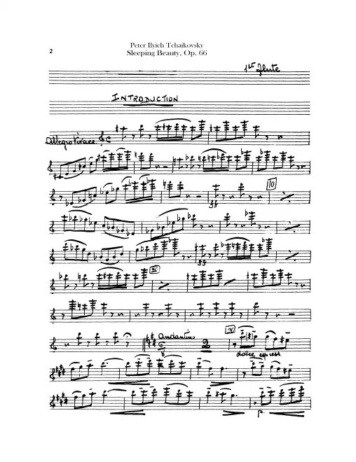 Flute 1
