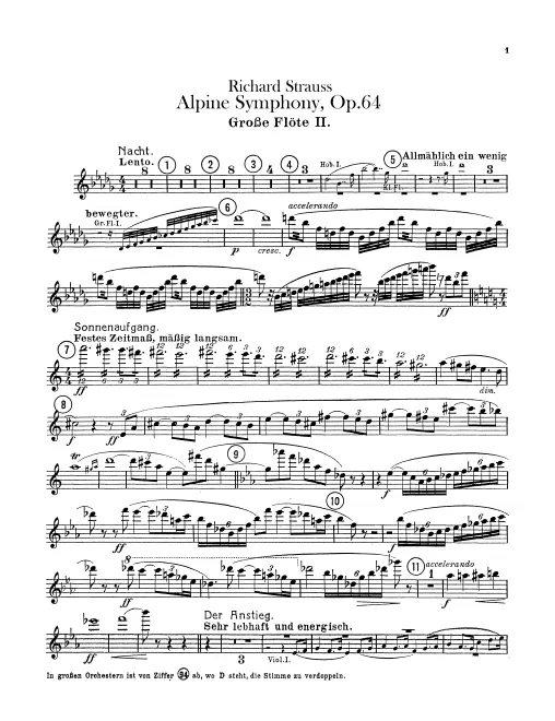 Flute 2