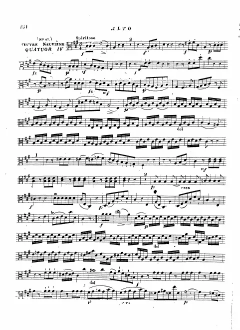 Viola