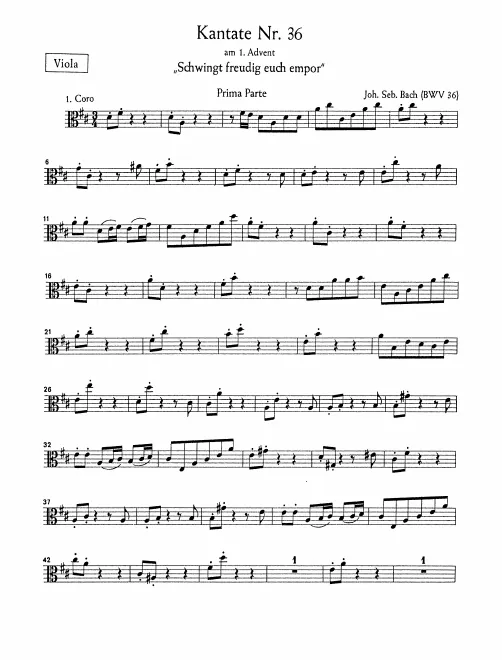 Violas
