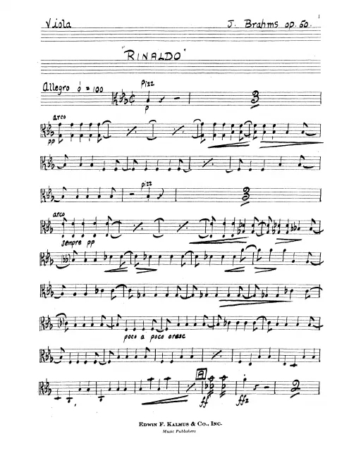Violas