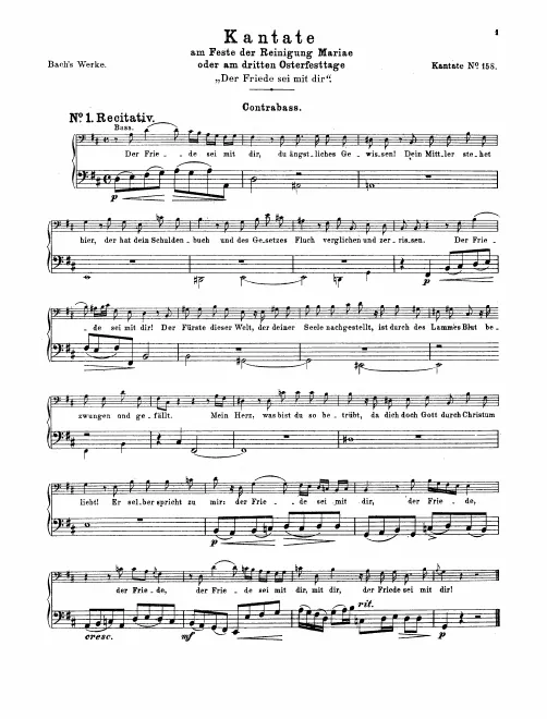 Basses