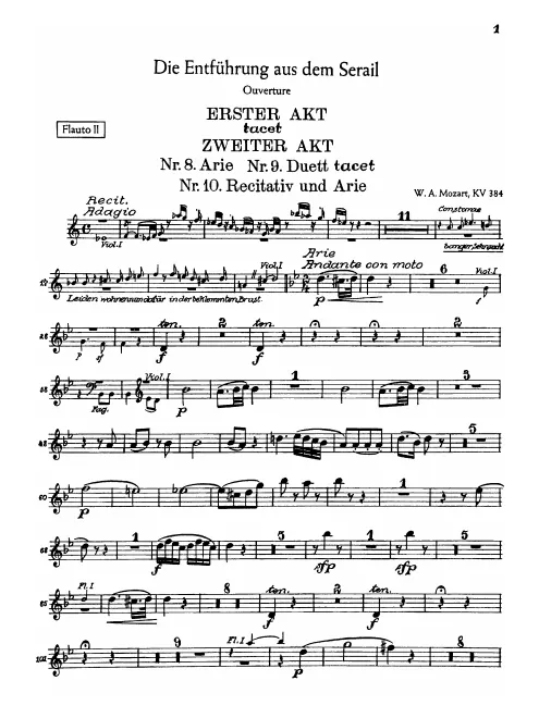 Flute 2