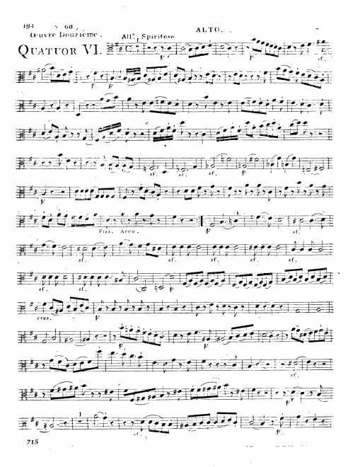 Viola