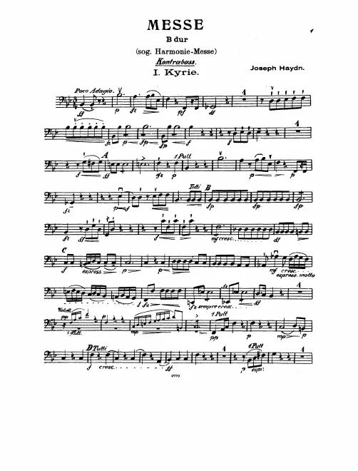 Basses