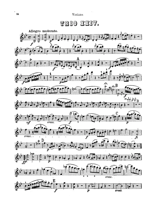 Violin