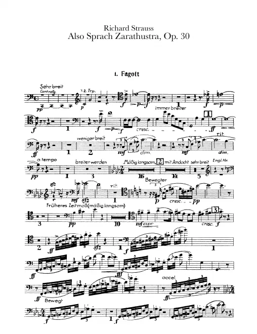 Bassoon 1