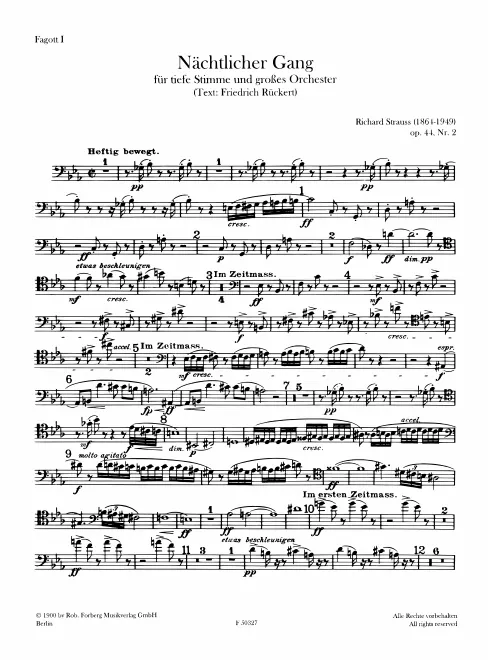 Bassoon 1