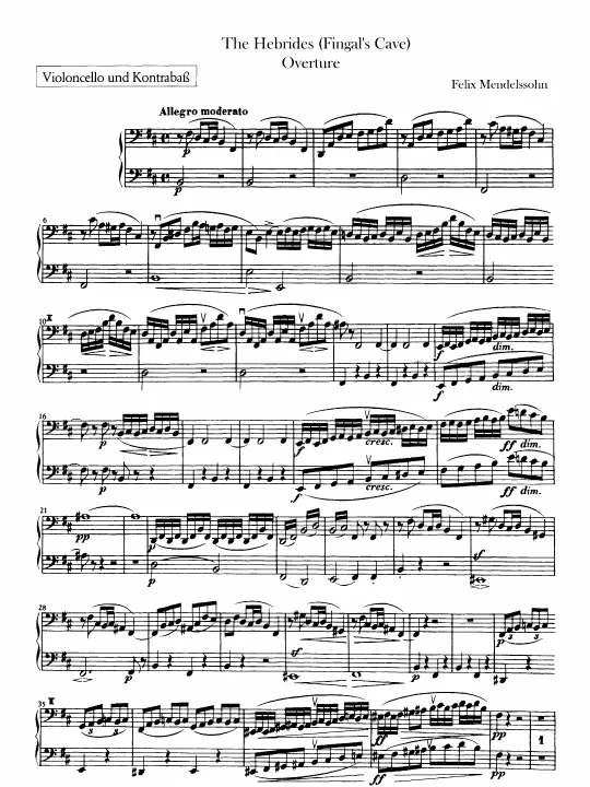 Cellos/Basses