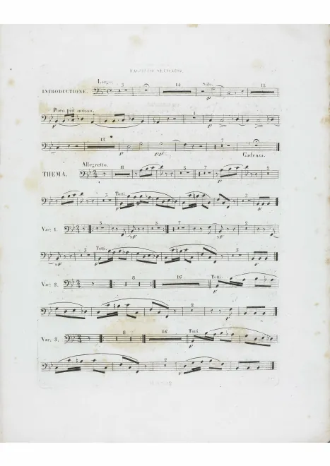 Bassoon 2