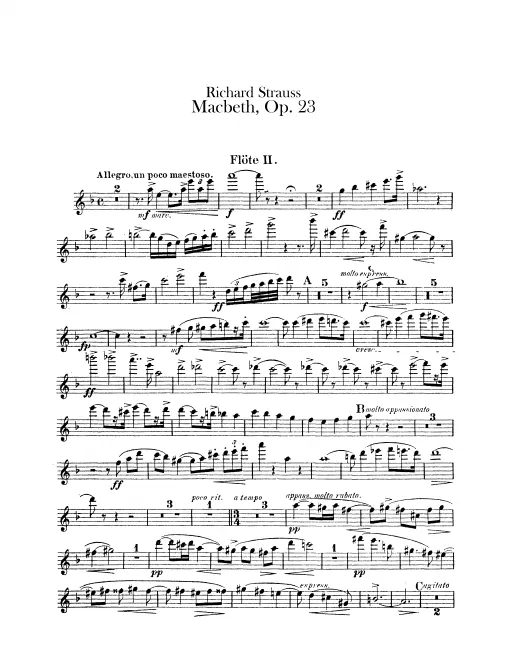 Flute 2