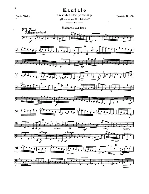 Cellos/Basses
