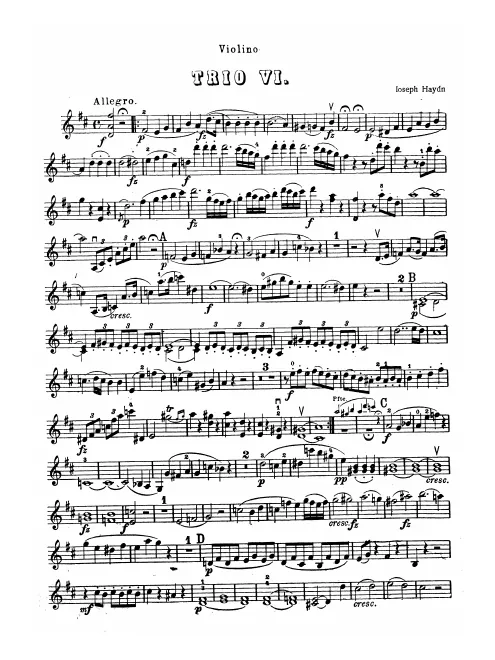 Violin