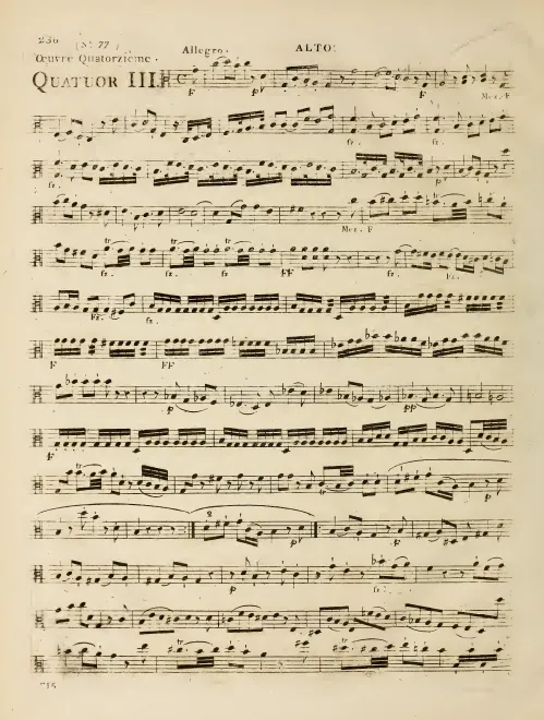 Viola