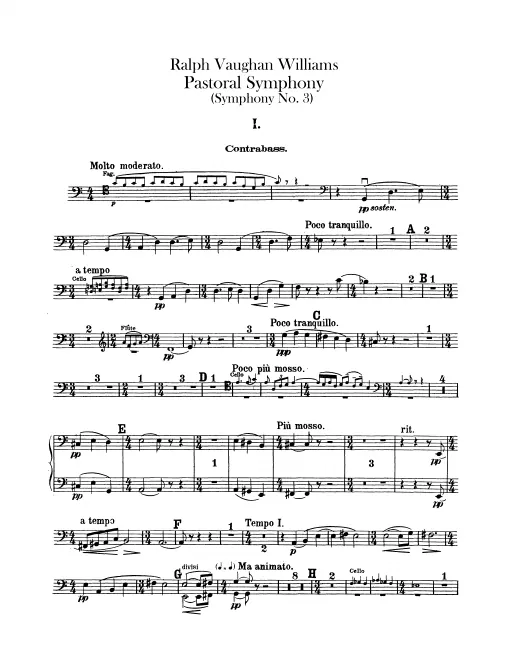 Basses