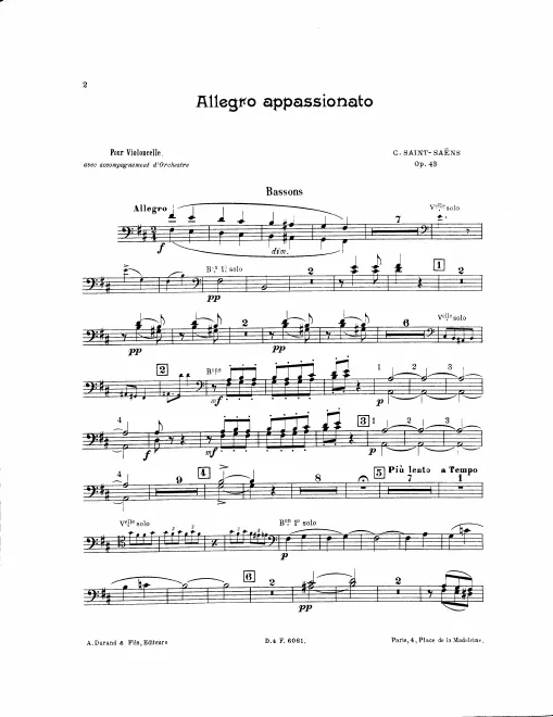 Bassoon 1/2