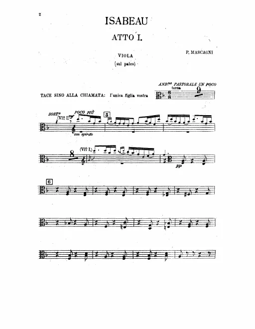 Viola