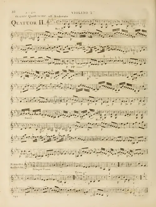 Violin 2
