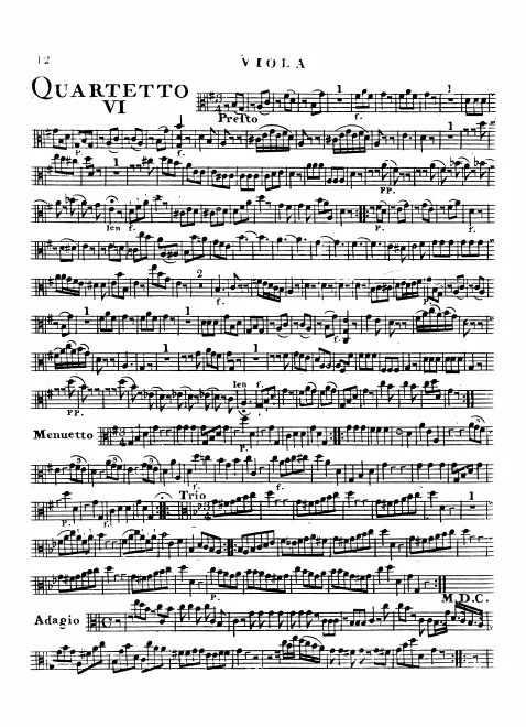 Viola