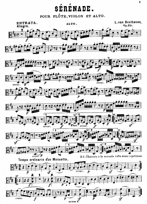Viola
