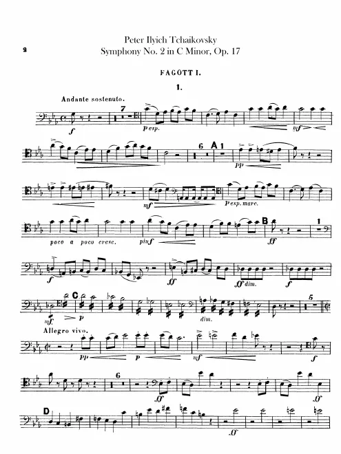 Bassoon 1