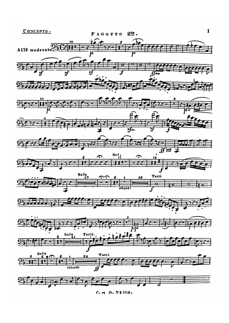 Bassoon 2