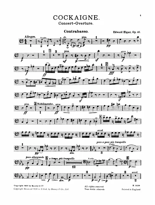 Basses