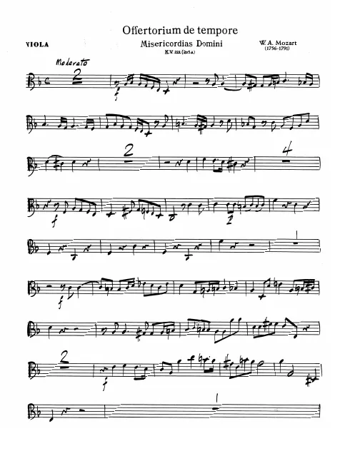 Violas