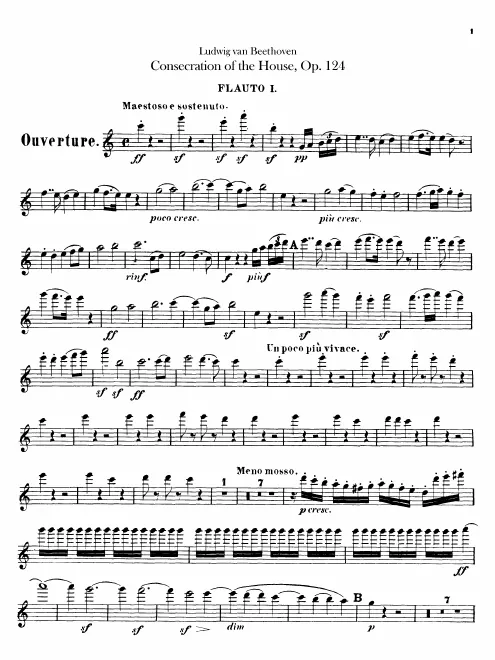 Flute 1, 2