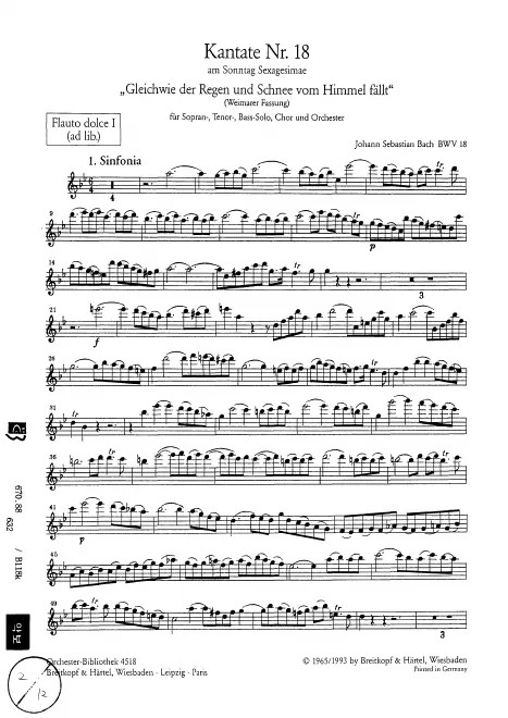 Flute 1