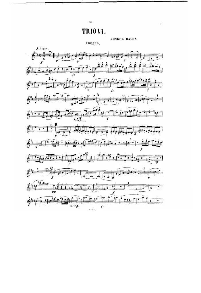 Violin