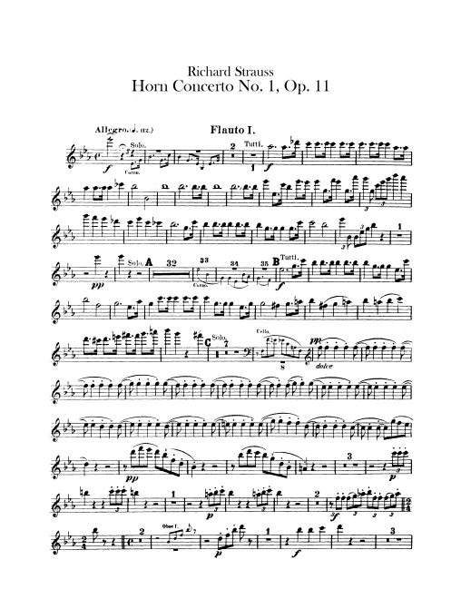 Flute 1, 2