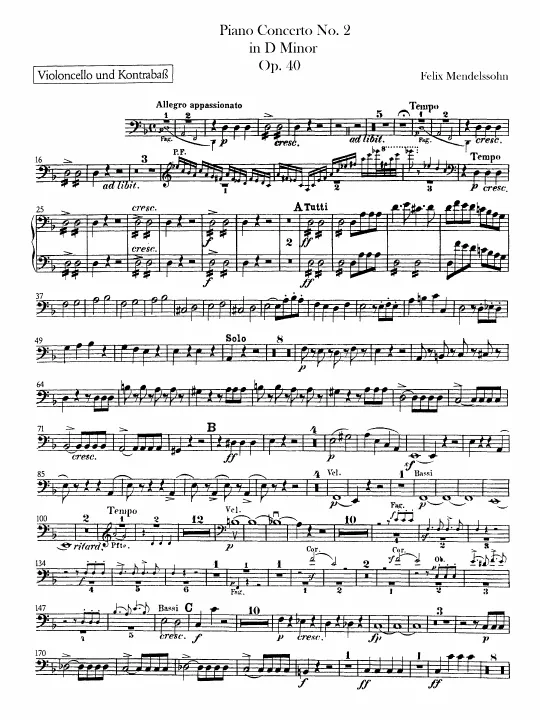 Cellos / Basses