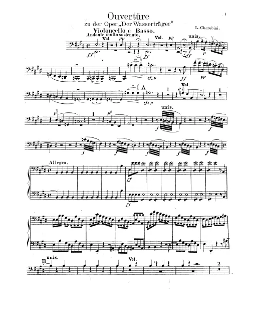 Cellos/Basses