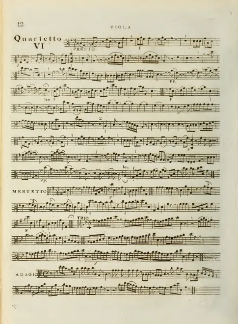 Viola