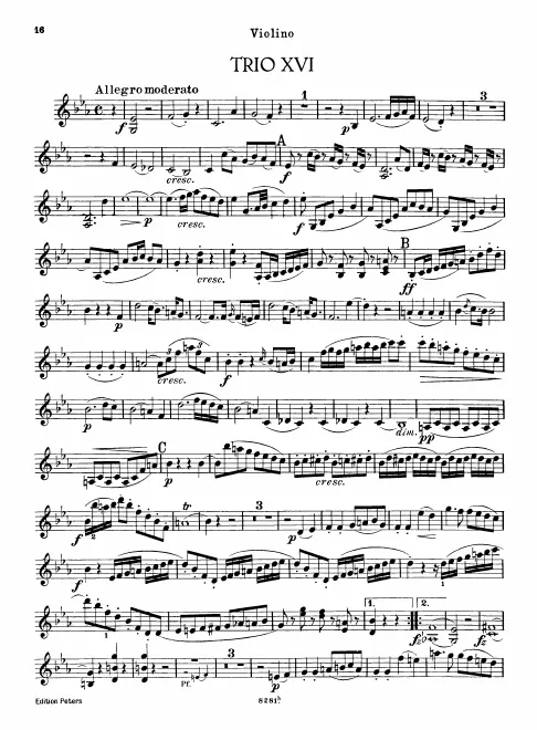 Violin