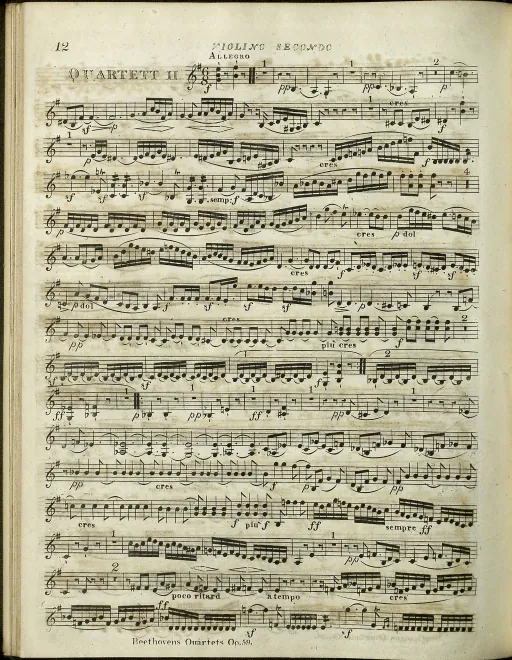 Violin 2