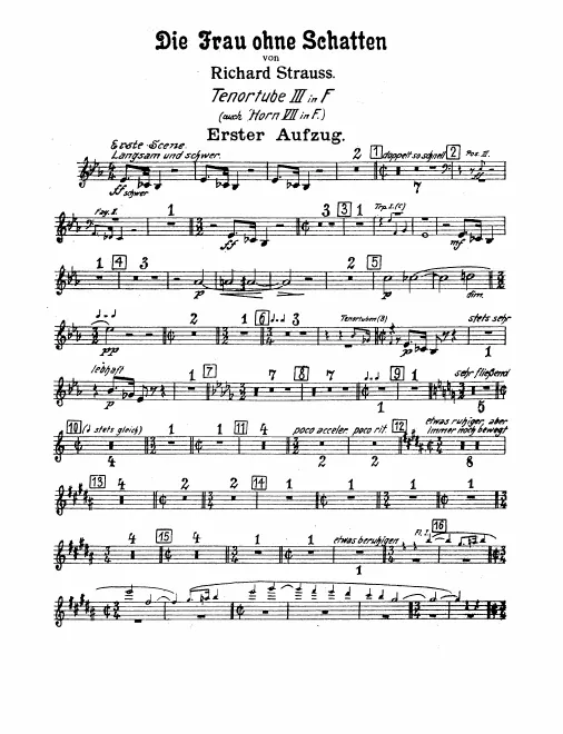 Horn 7/Wagner Tuba 3
