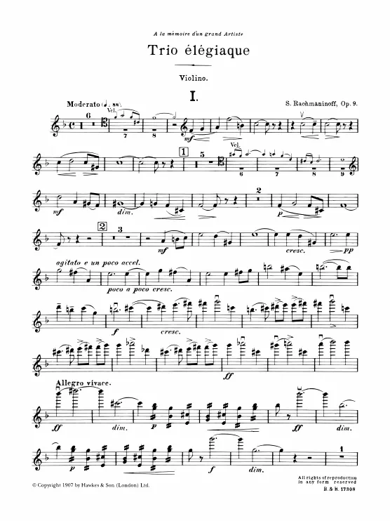 Violin