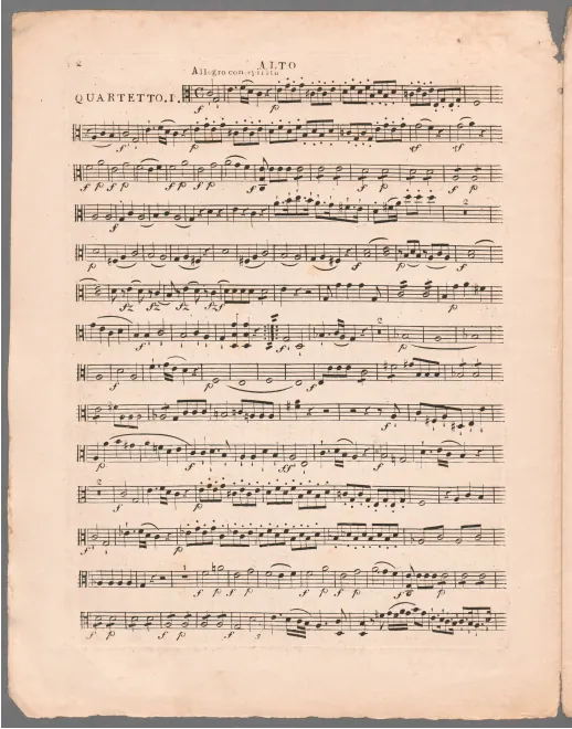 Viola