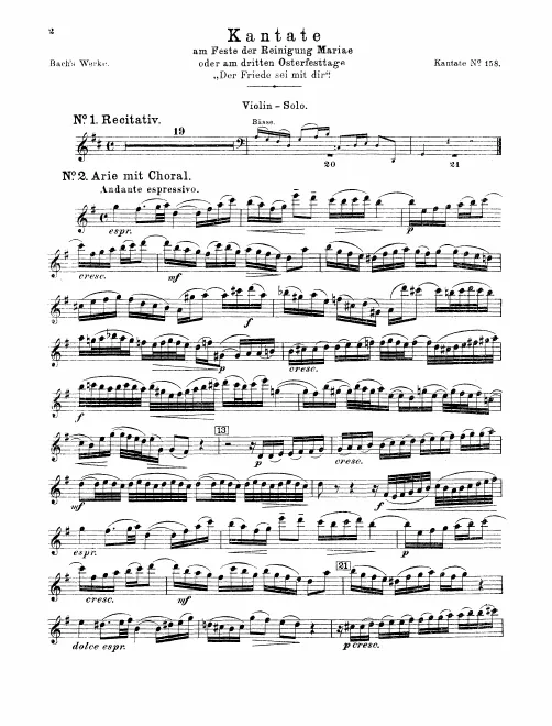 Violin Solo