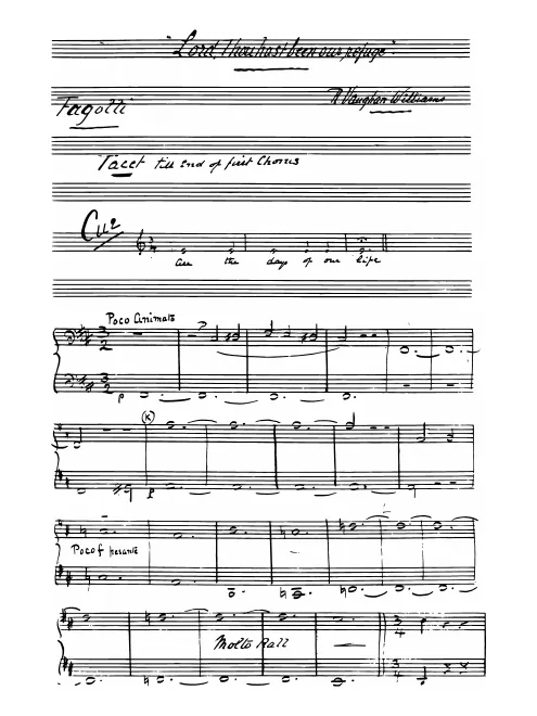 Bassoon 1/2