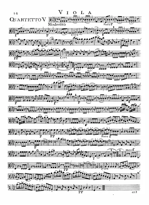 Viola