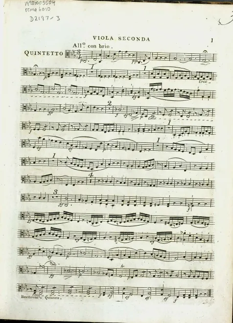 Viola 2