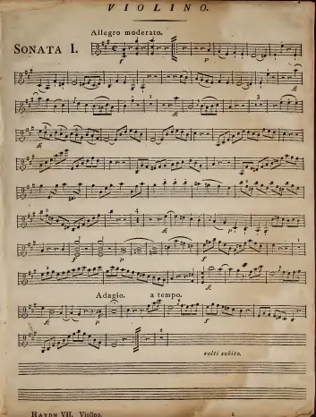 Violin