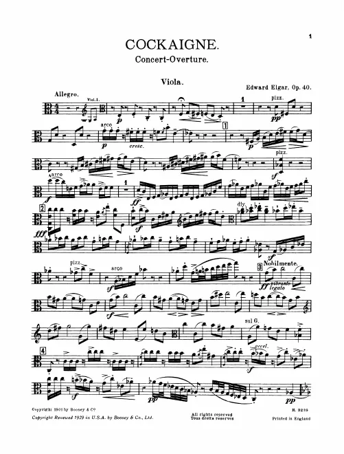 Violas