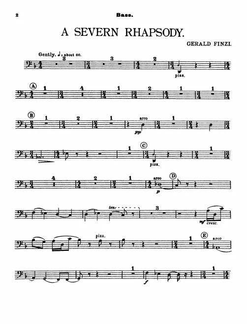Basses