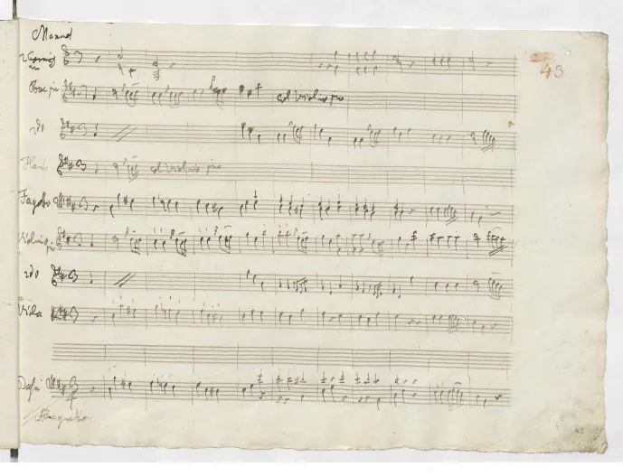III. Menuet - Allegretto