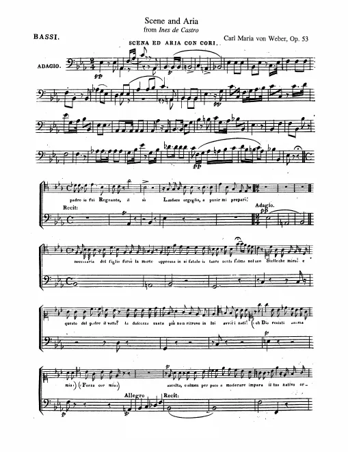 Cellos/Basses