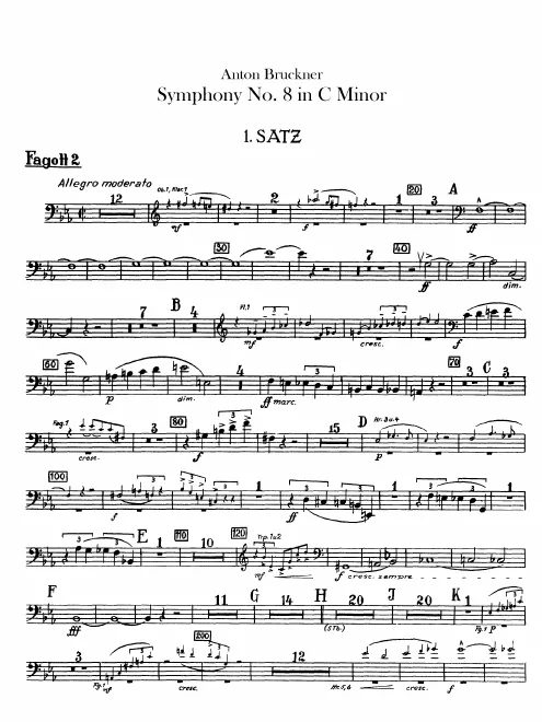 Bassoon 2